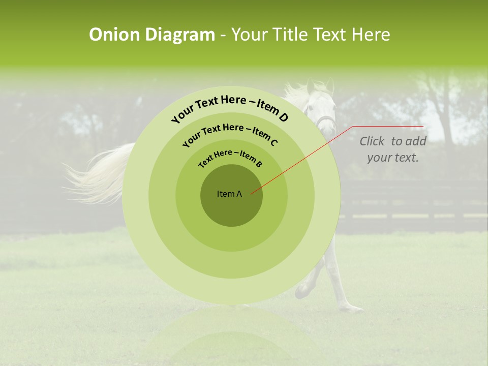 Beautiful Horses 24. See More In My Portfolio PowerPoint Template