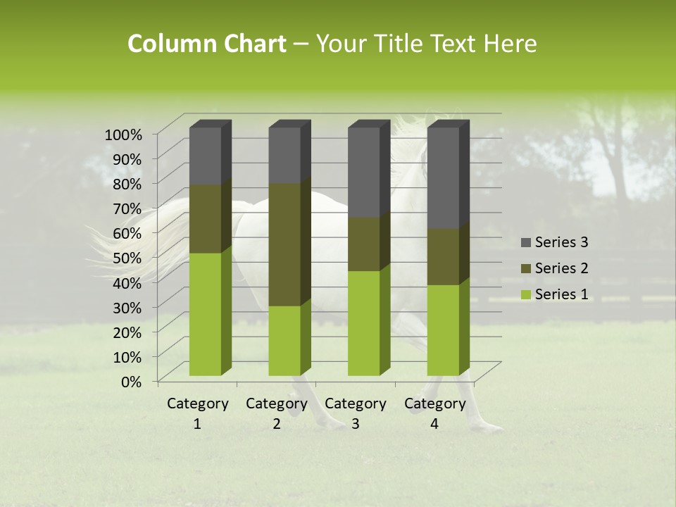 Beautiful Horses 24. See More In My Portfolio PowerPoint Template