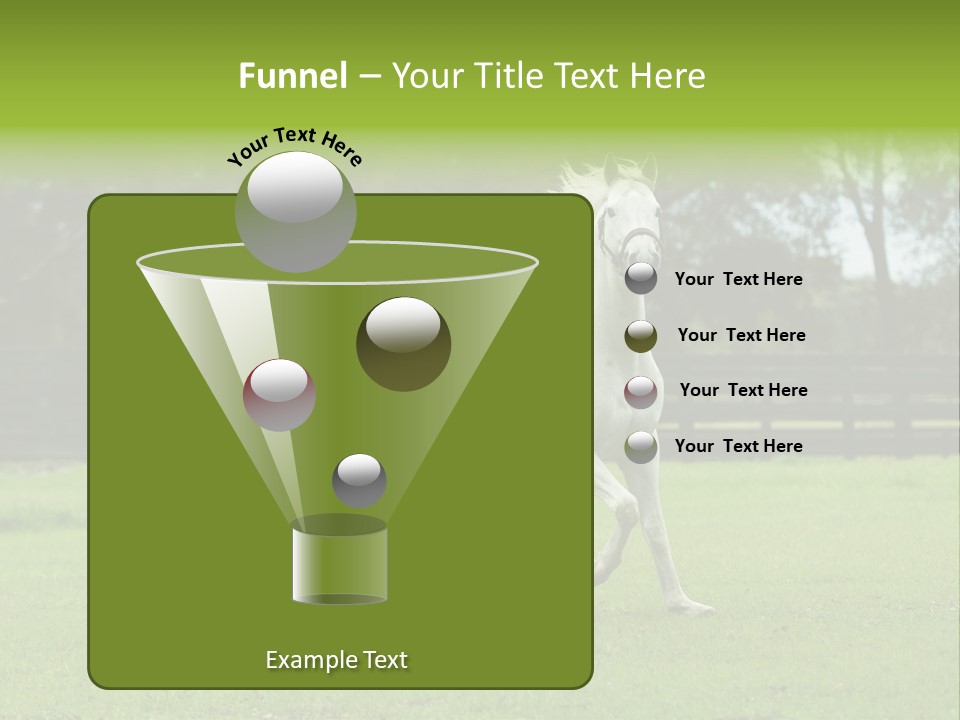 Beautiful Horses 24. See More In My Portfolio PowerPoint Template