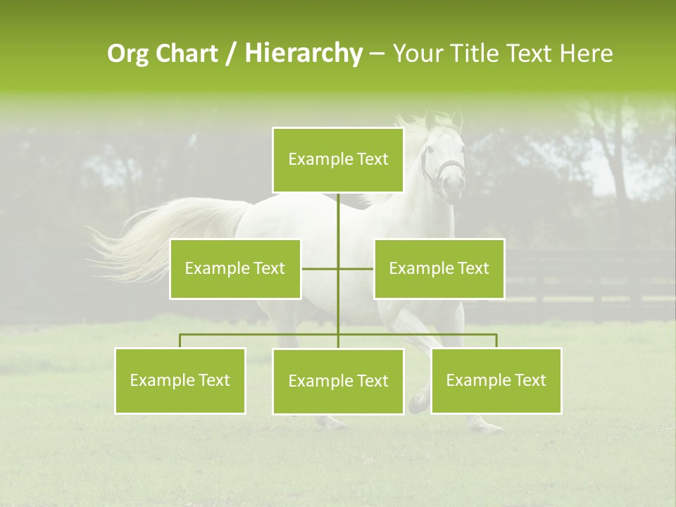 Beautiful Horses 24. See More In My Portfolio PowerPoint Template