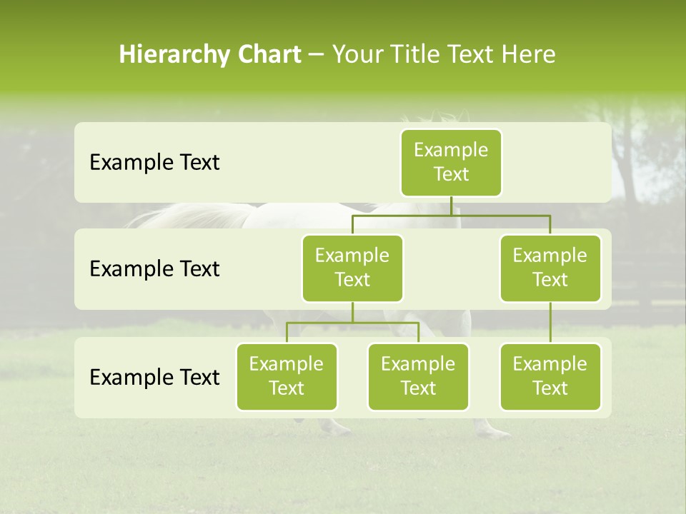 Beautiful Horses 24. See More In My Portfolio PowerPoint Template