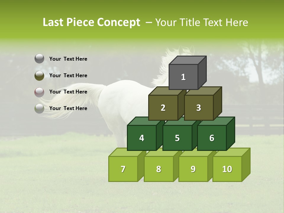 Beautiful Horses 24. See More In My Portfolio PowerPoint Template