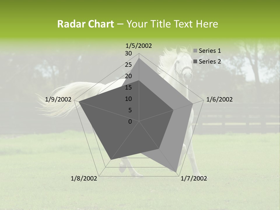 Beautiful Horses 24. See More In My Portfolio PowerPoint Template