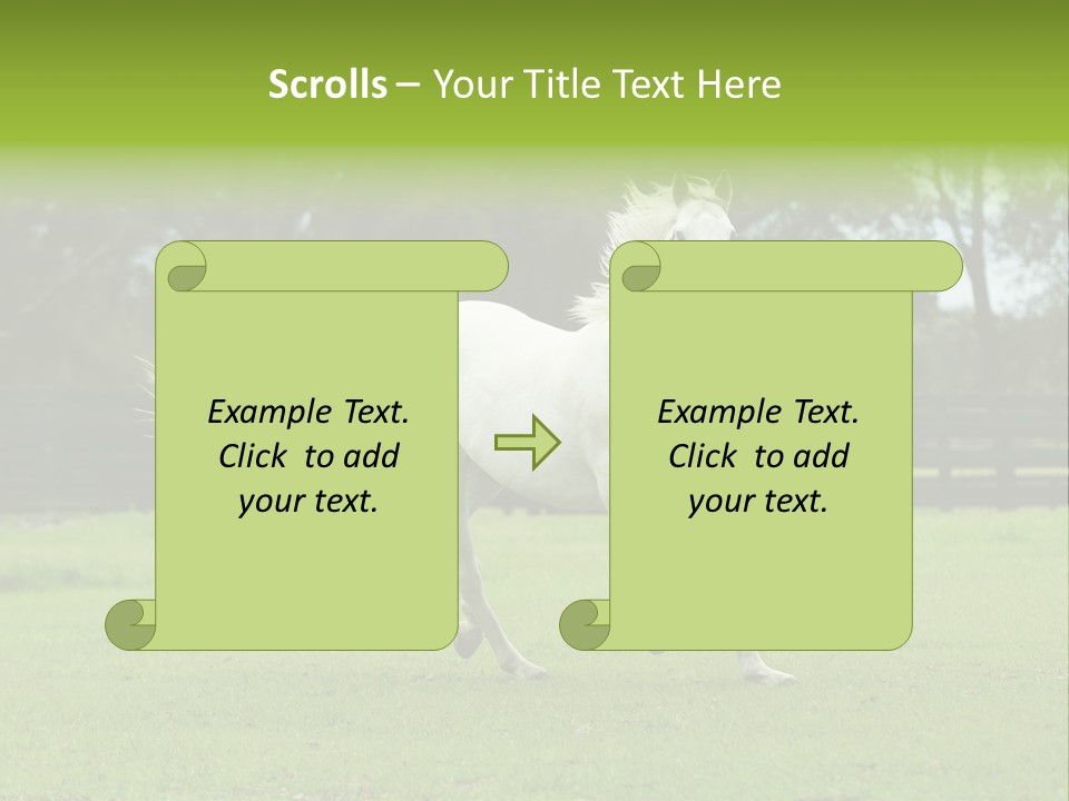 Beautiful Horses 24. See More In My Portfolio PowerPoint Template