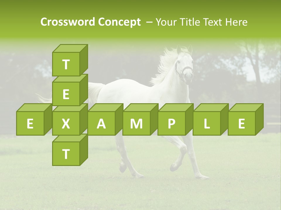 Beautiful Horses 24. See More In My Portfolio PowerPoint Template