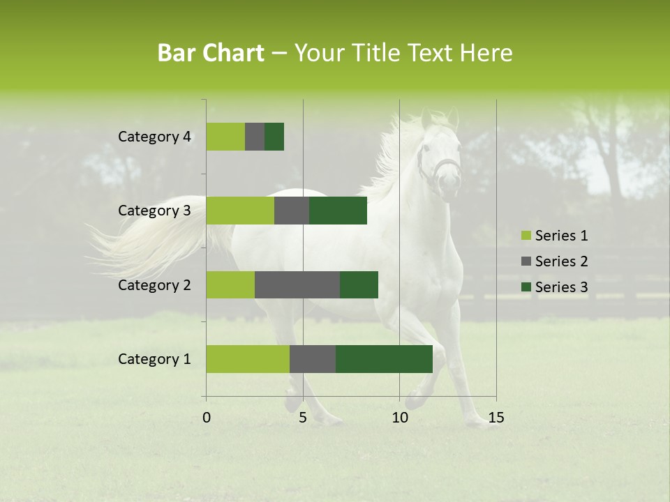 Beautiful Horses 24. See More In My Portfolio PowerPoint Template