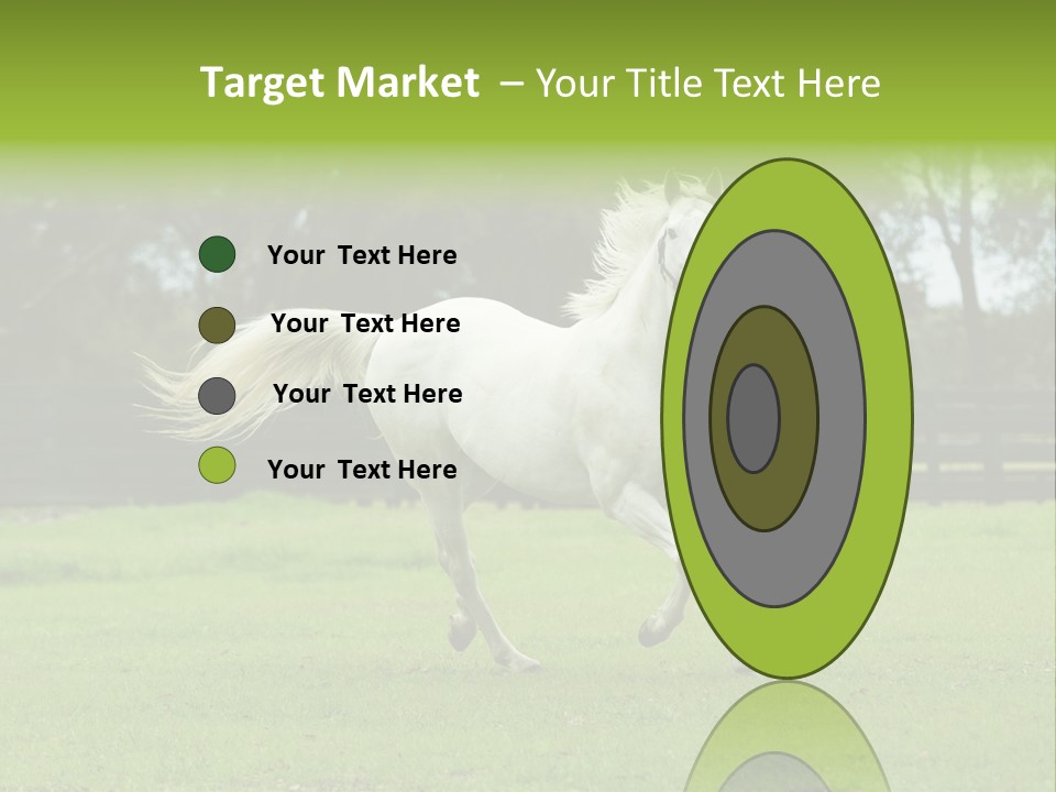 Beautiful Horses 24. See More In My Portfolio PowerPoint Template