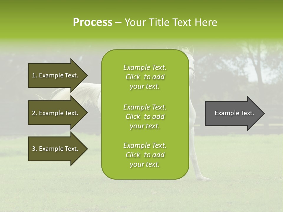 Beautiful Horses 24. See More In My Portfolio PowerPoint Template