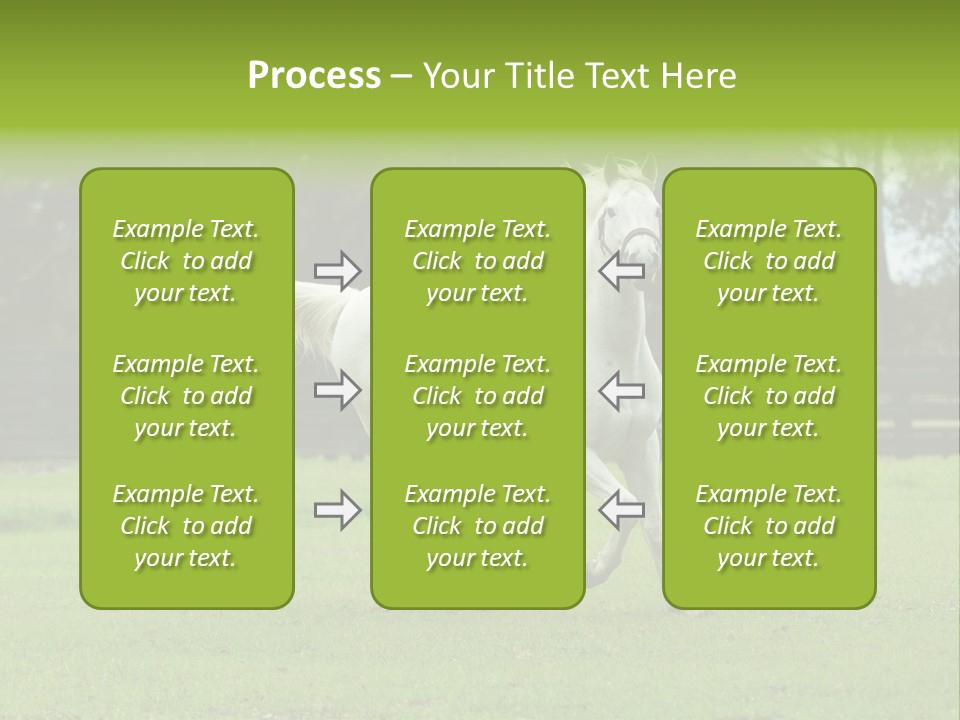 Beautiful Horses 24. See More In My Portfolio PowerPoint Template