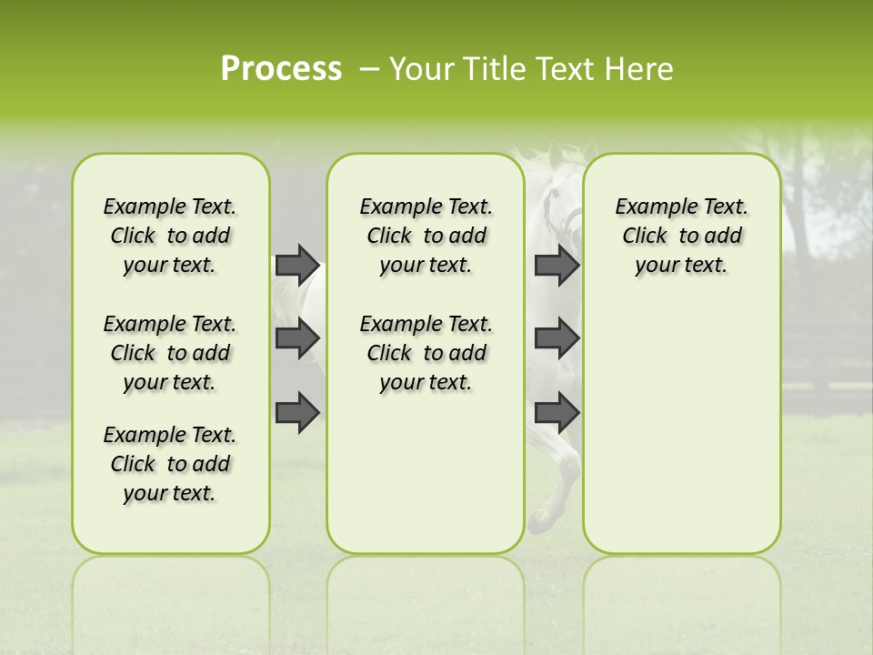 Beautiful Horses 24. See More In My Portfolio PowerPoint Template