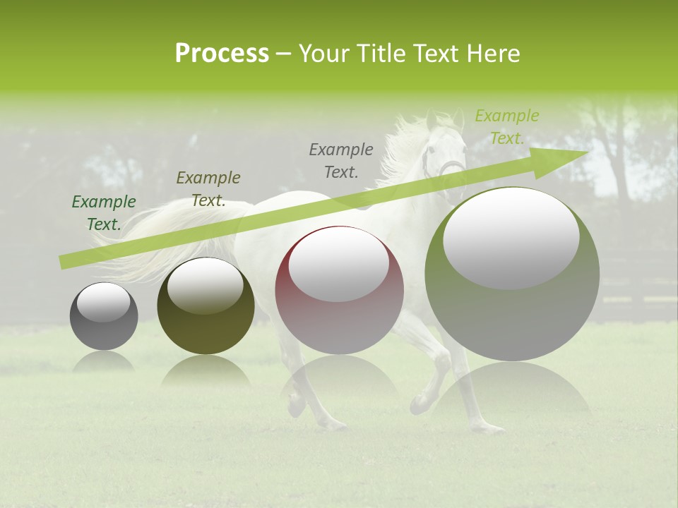 Beautiful Horses 24. See More In My Portfolio PowerPoint Template