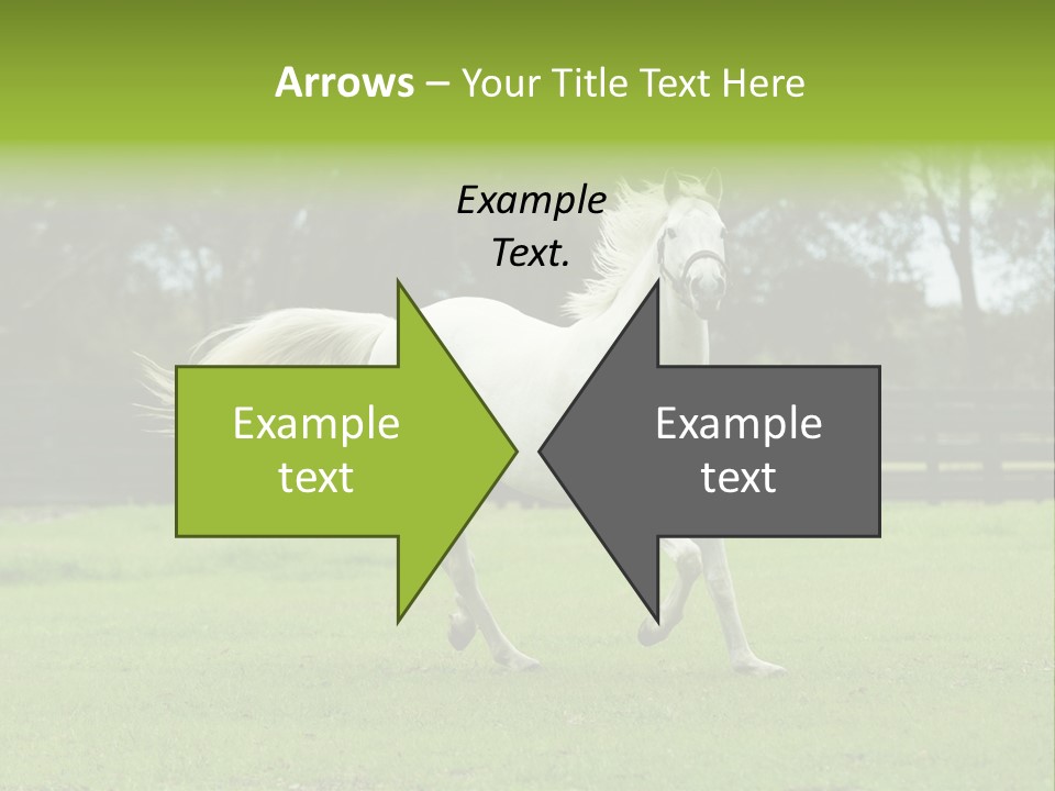 Beautiful Horses 24. See More In My Portfolio PowerPoint Template