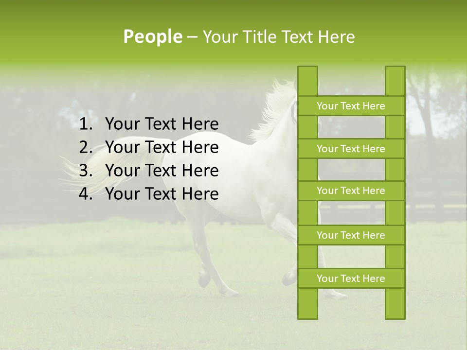 Beautiful Horses 24. See More In My Portfolio PowerPoint Template