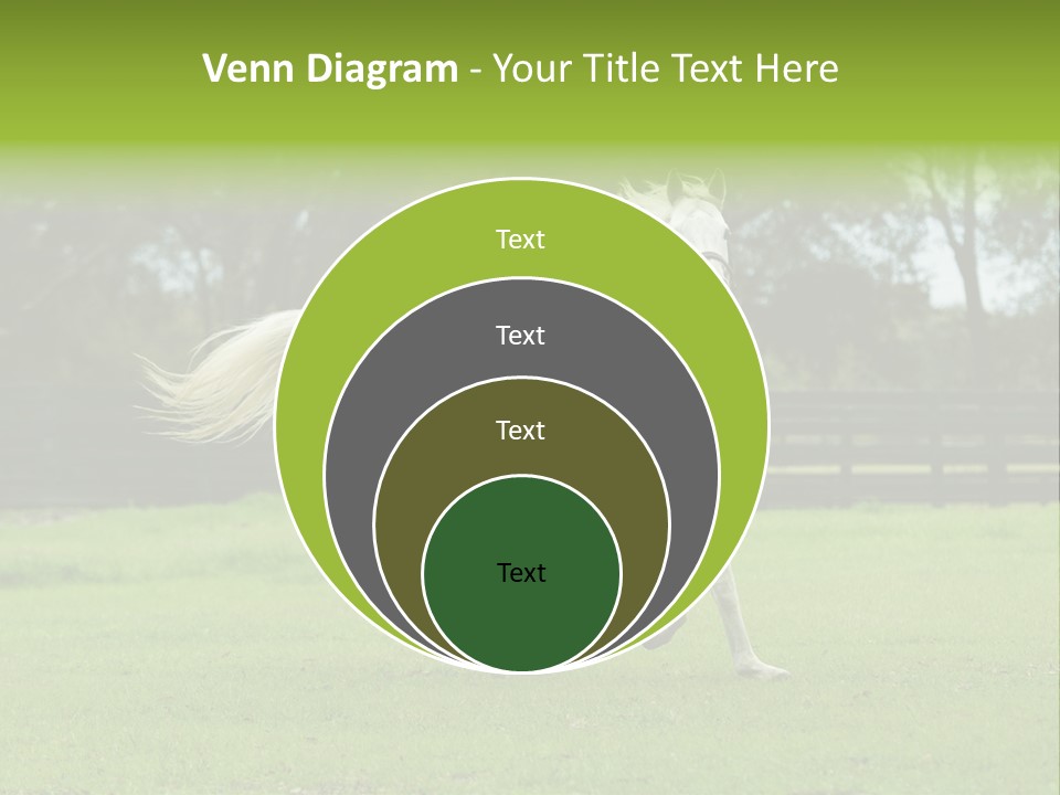 Beautiful Horses 24. See More In My Portfolio PowerPoint Template