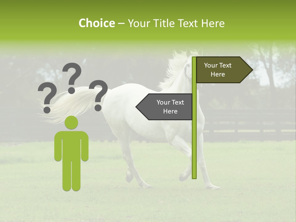 Beautiful Horses 24. See More In My Portfolio PowerPoint Template