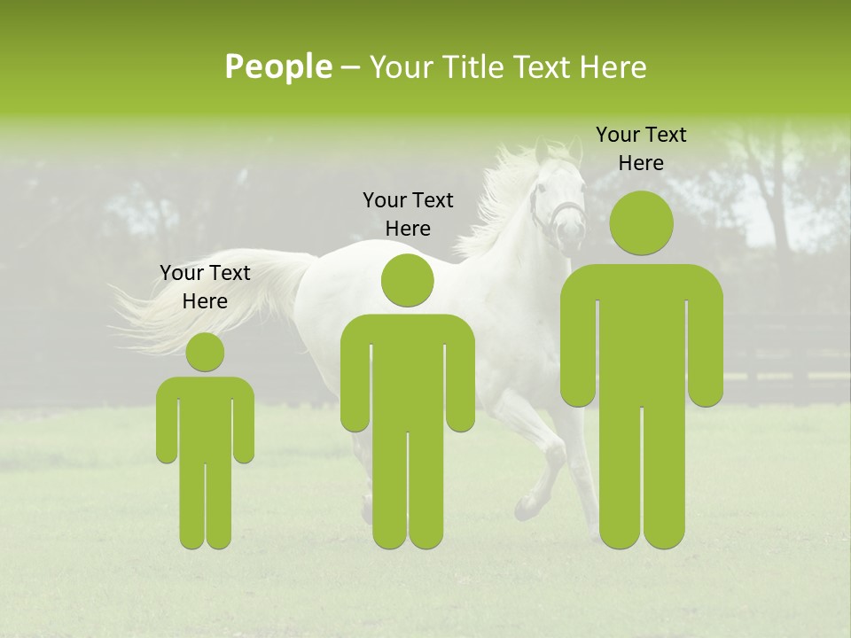 Beautiful Horses 24. See More In My Portfolio PowerPoint Template