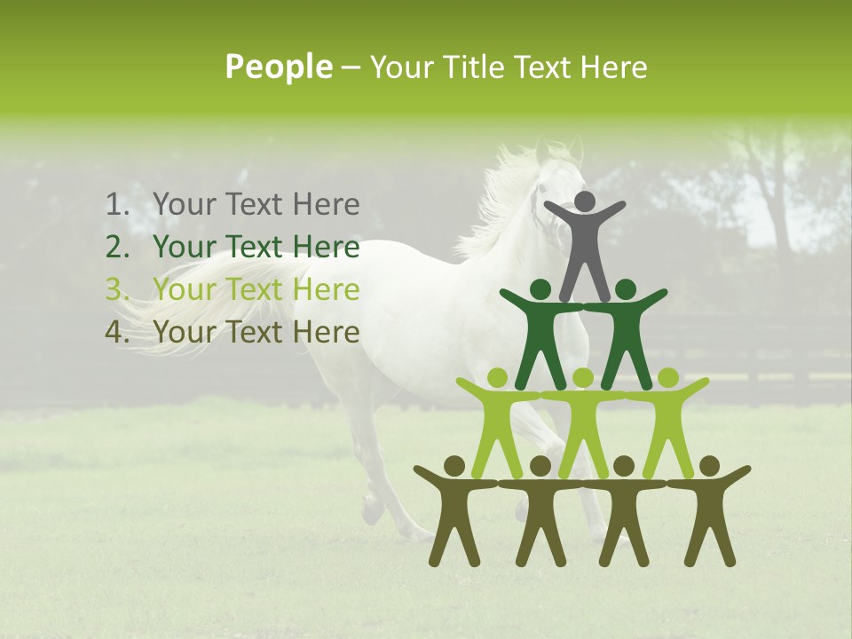 Beautiful Horses 24. See More In My Portfolio PowerPoint Template