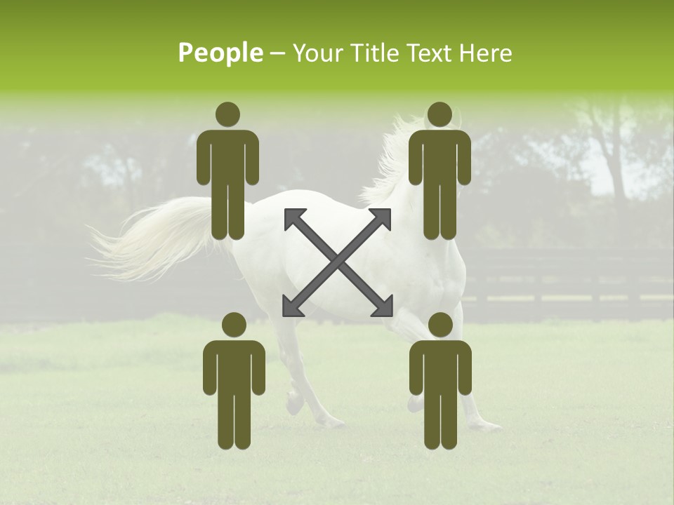 Beautiful Horses 24. See More In My Portfolio PowerPoint Template