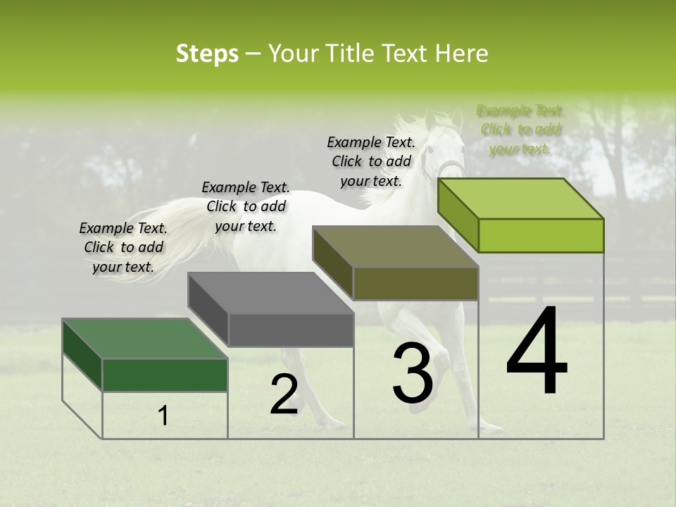 Beautiful Horses 24. See More In My Portfolio PowerPoint Template