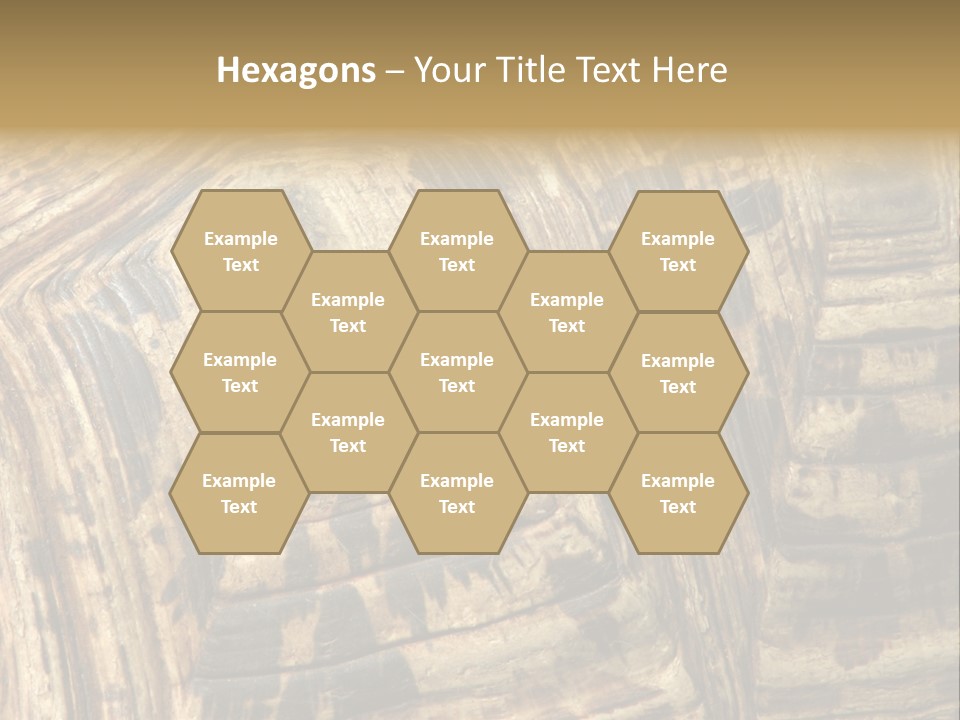 Patterns On Tortoise Shell PowerPoint Template