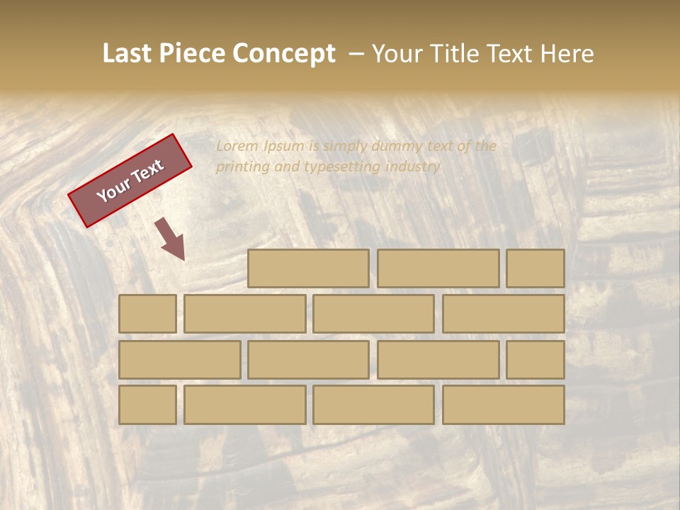 Patterns On Tortoise Shell PowerPoint Template