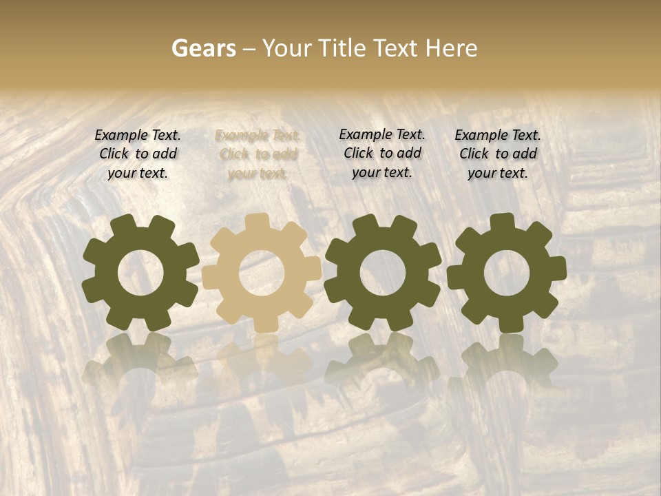 Patterns On Tortoise Shell PowerPoint Template