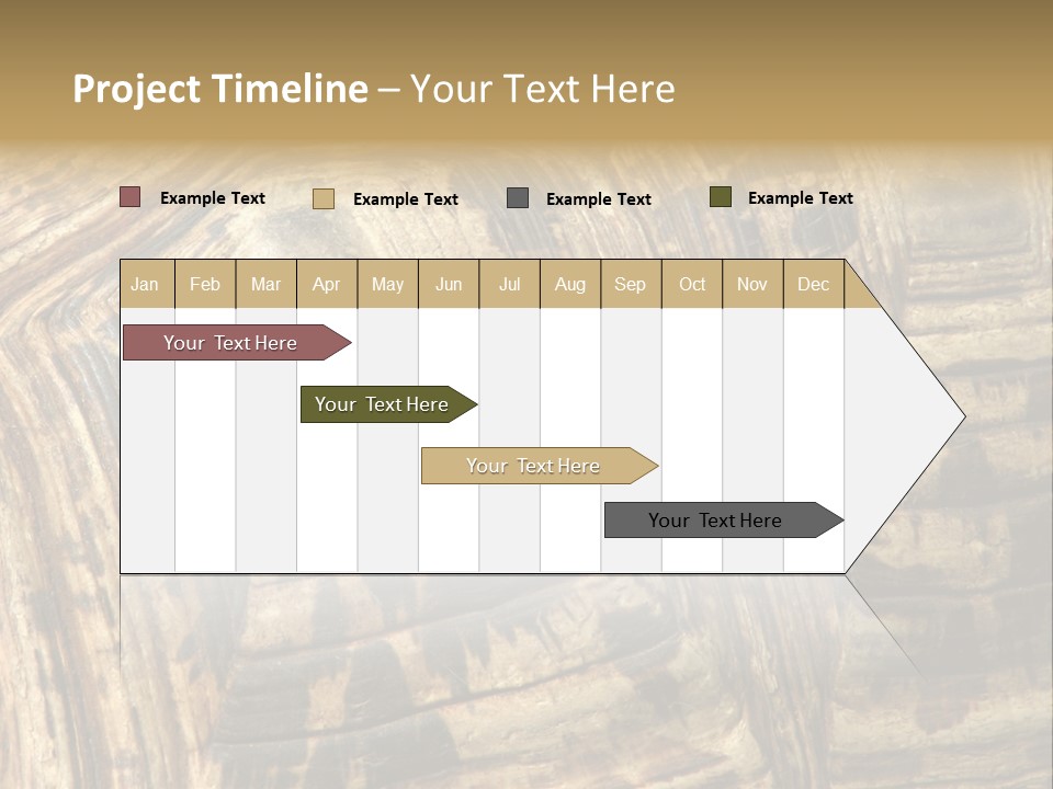Patterns On Tortoise Shell PowerPoint Template
