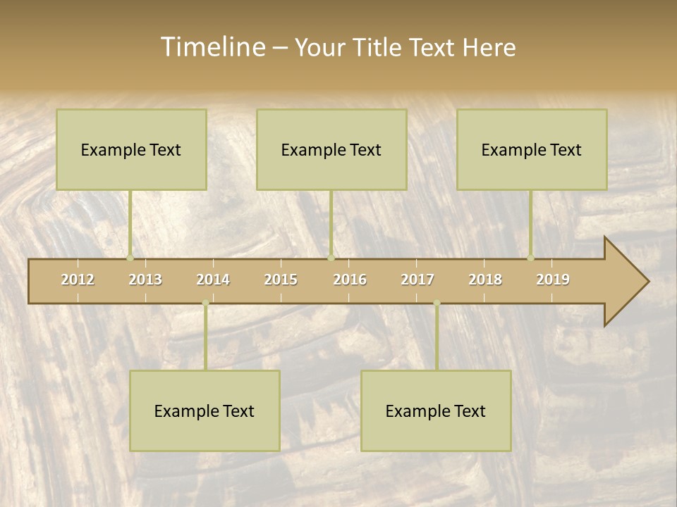 Patterns On Tortoise Shell PowerPoint Template