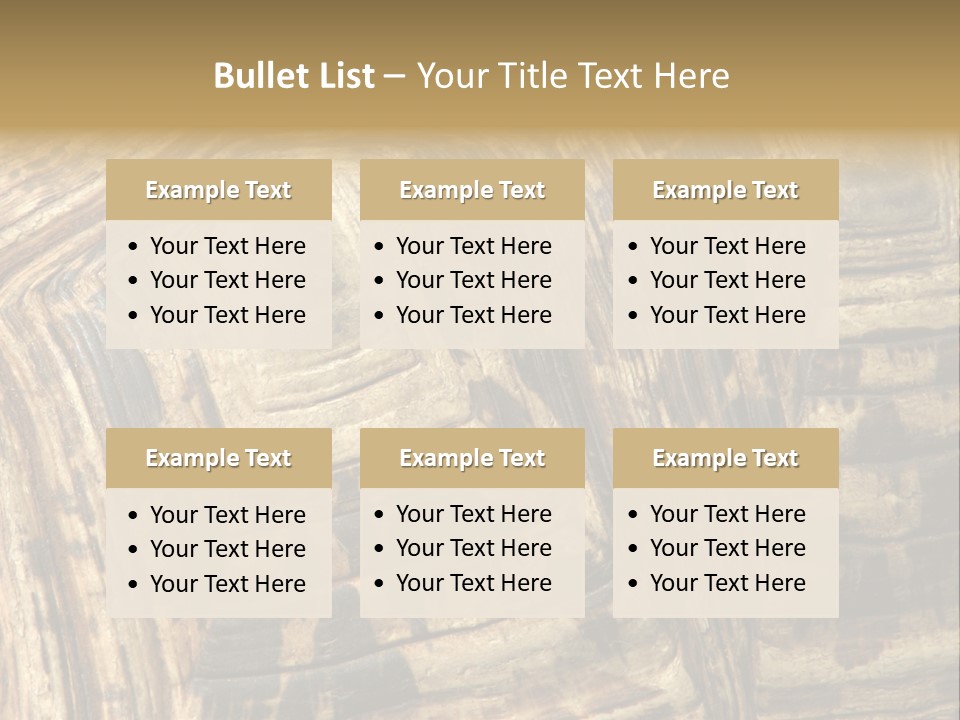 Patterns On Tortoise Shell PowerPoint Template