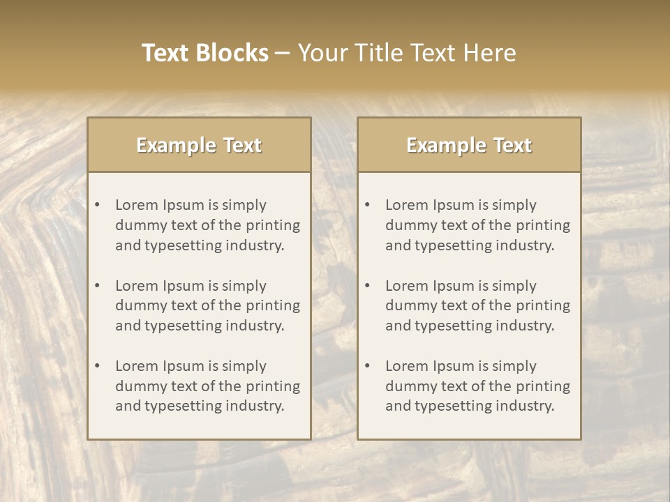 Patterns On Tortoise Shell PowerPoint Template