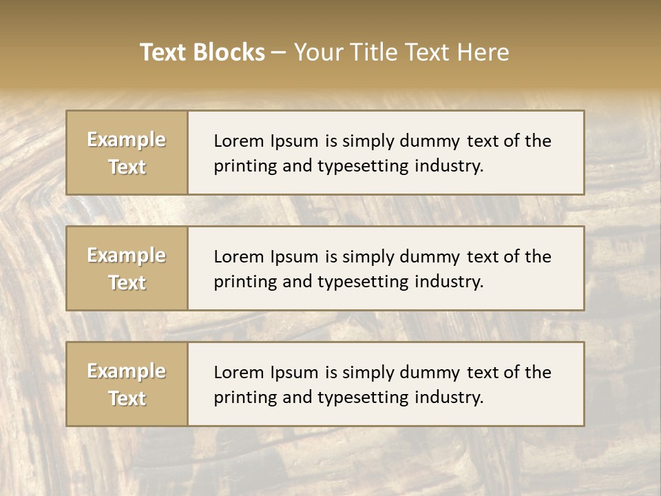Patterns On Tortoise Shell PowerPoint Template