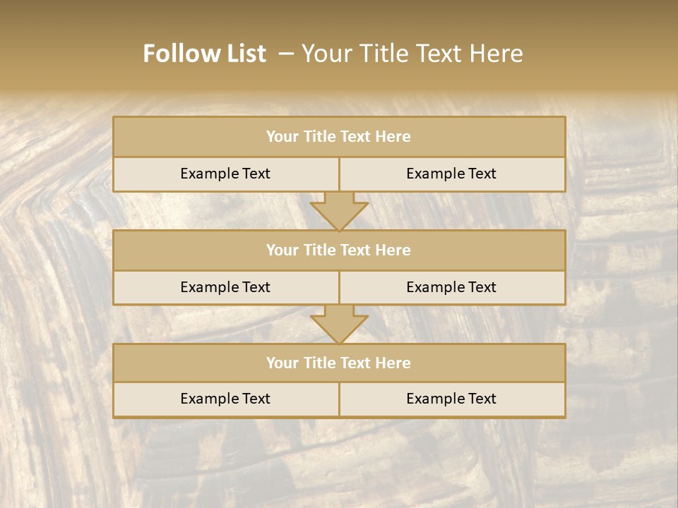 Patterns On Tortoise Shell PowerPoint Template
