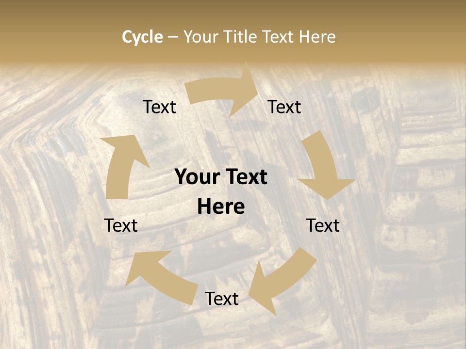 Patterns On Tortoise Shell PowerPoint Template