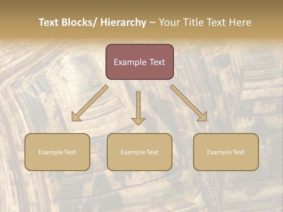 Patterns On Tortoise Shell PowerPoint Template