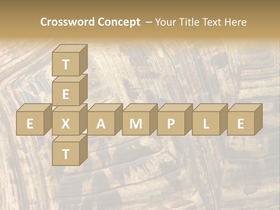 Patterns On Tortoise Shell PowerPoint Template