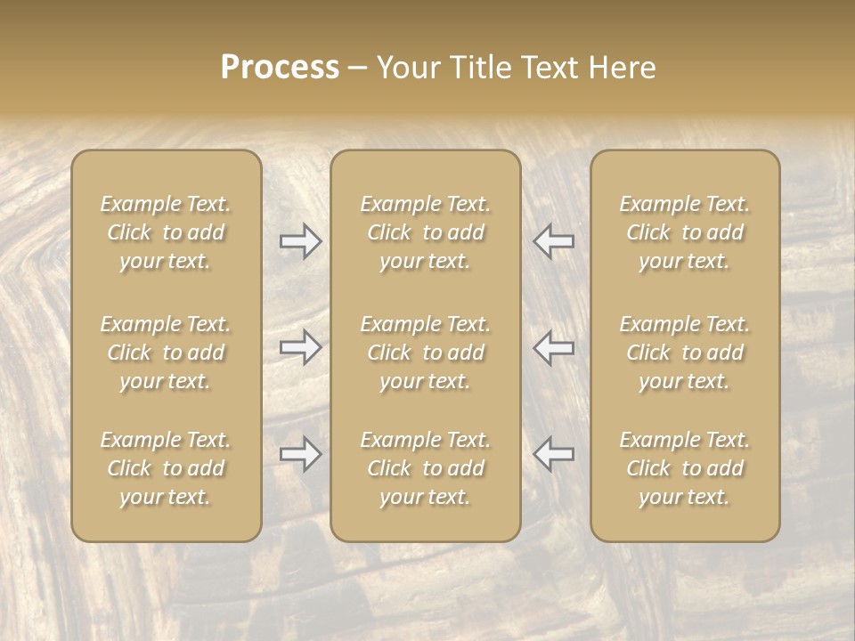 Patterns On Tortoise Shell PowerPoint Template
