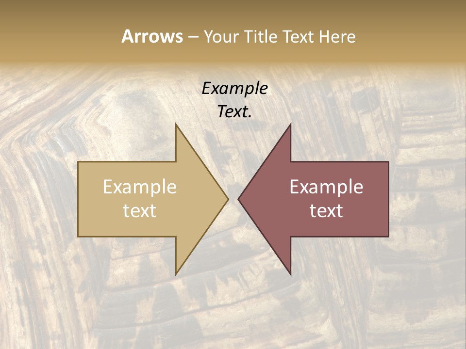 Patterns On Tortoise Shell PowerPoint Template