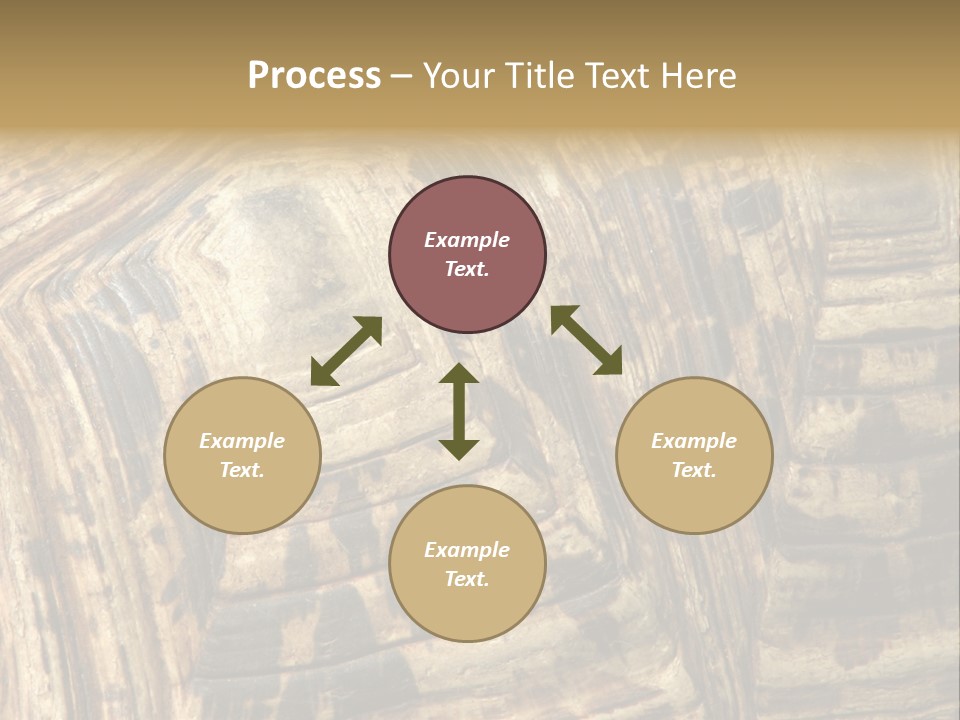 Patterns On Tortoise Shell PowerPoint Template