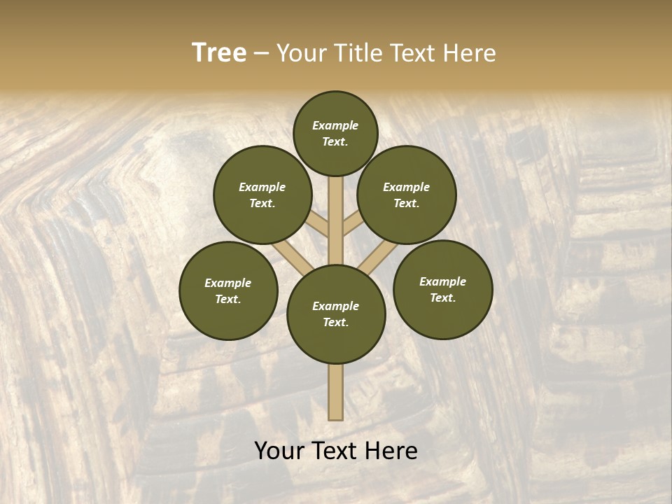 Patterns On Tortoise Shell PowerPoint Template