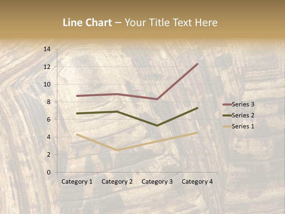 Patterns On Tortoise Shell PowerPoint Template