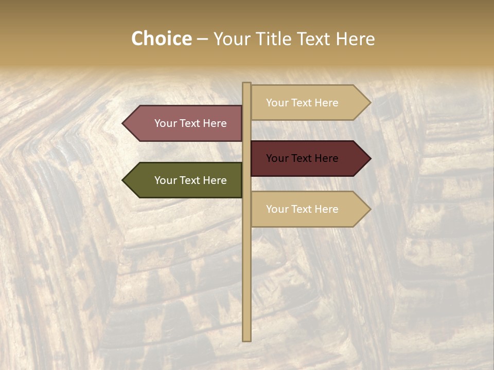 Patterns On Tortoise Shell PowerPoint Template