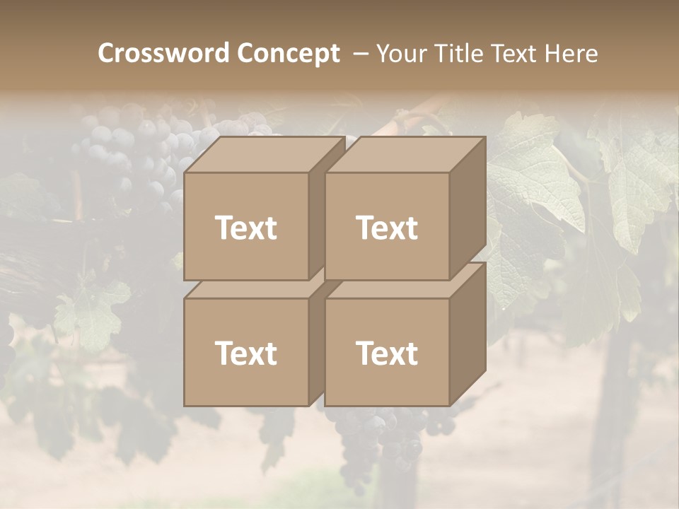 Vineyards With Red Wine Grapes Clusters, Ready For Harvest PowerPoint Template