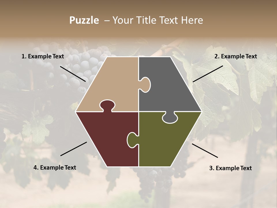 Vineyards With Red Wine Grapes Clusters, Ready For Harvest PowerPoint Template