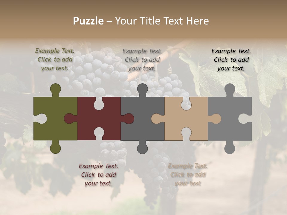 Vineyards With Red Wine Grapes Clusters, Ready For Harvest PowerPoint Template