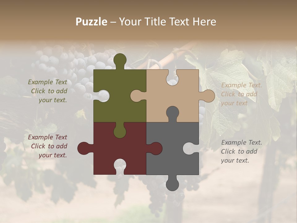 Vineyards With Red Wine Grapes Clusters, Ready For Harvest PowerPoint Template