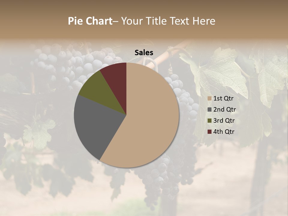 Vineyards With Red Wine Grapes Clusters, Ready For Harvest PowerPoint Template