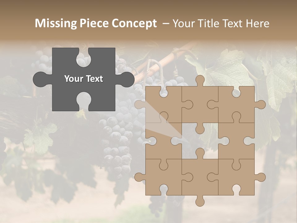 Vineyards With Red Wine Grapes Clusters, Ready For Harvest PowerPoint Template