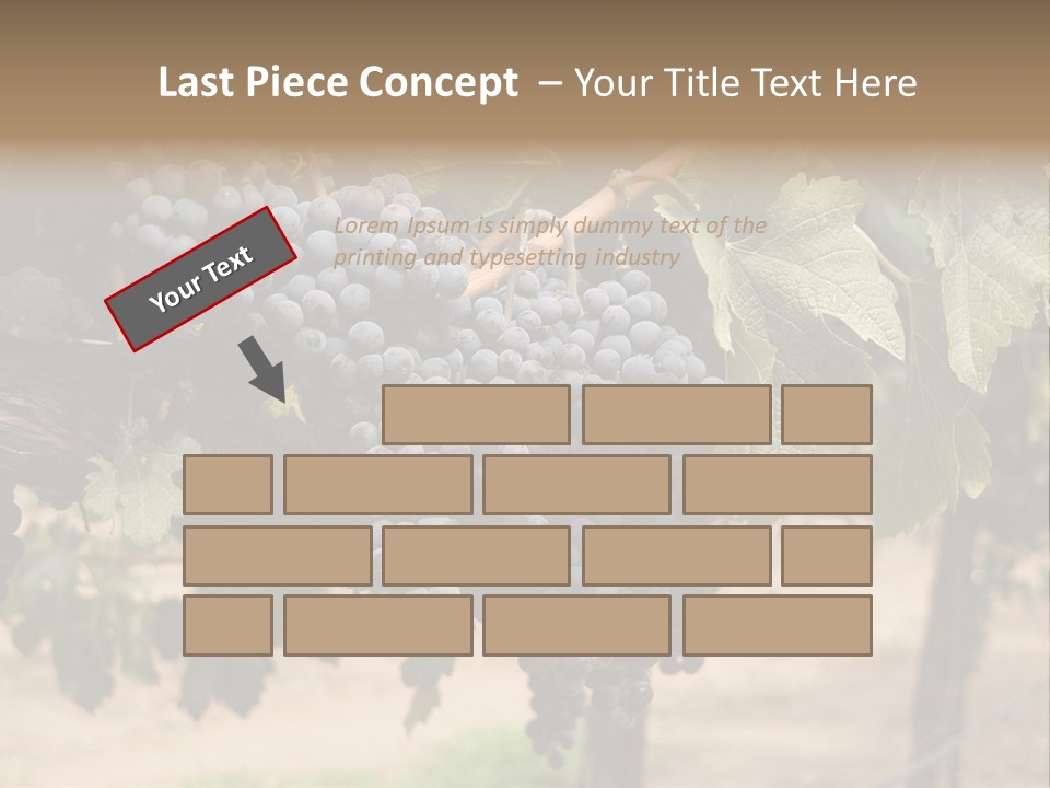 Vineyards With Red Wine Grapes Clusters, Ready For Harvest PowerPoint Template