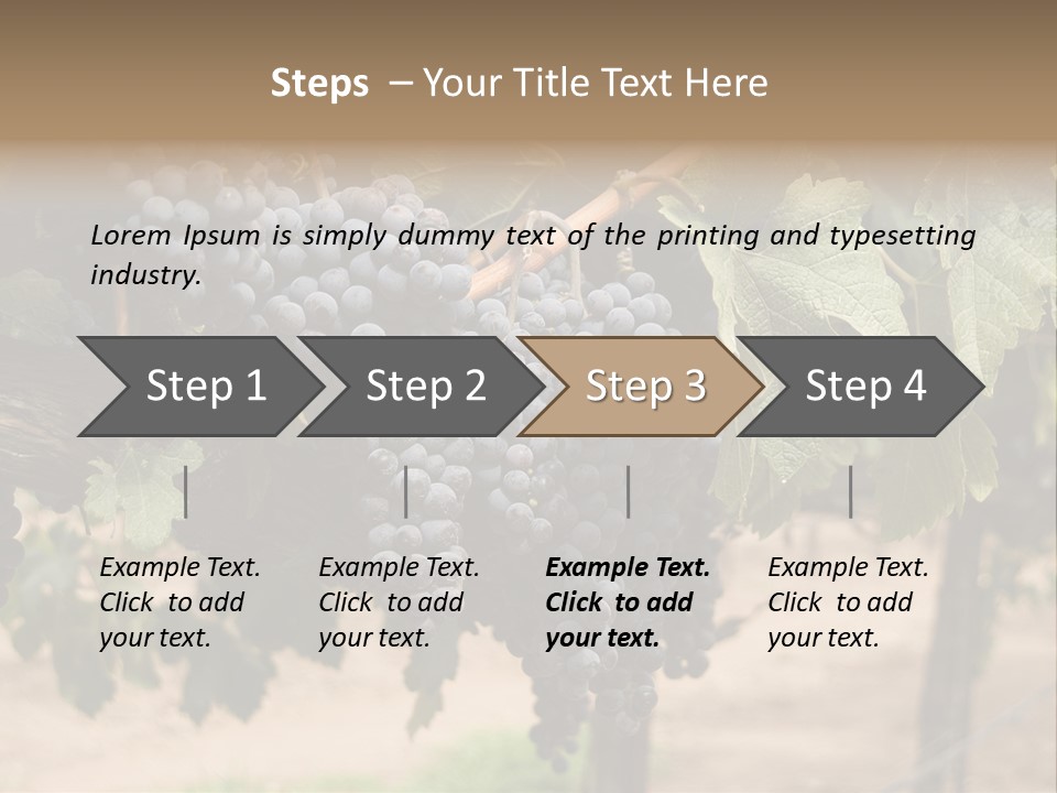 Vineyards With Red Wine Grapes Clusters, Ready For Harvest PowerPoint Template