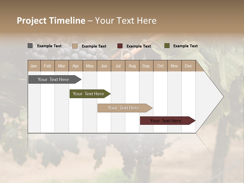 Vineyards With Red Wine Grapes Clusters, Ready For Harvest PowerPoint Template